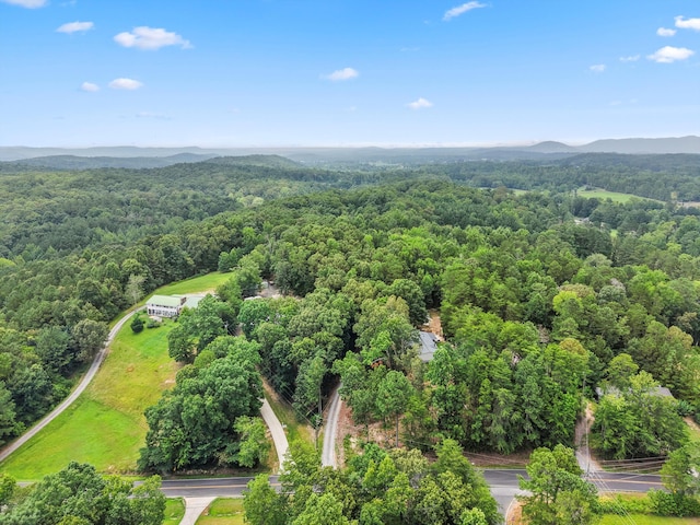 2386 Utility Rd, Rocky Face, GA 30740 - photo 30