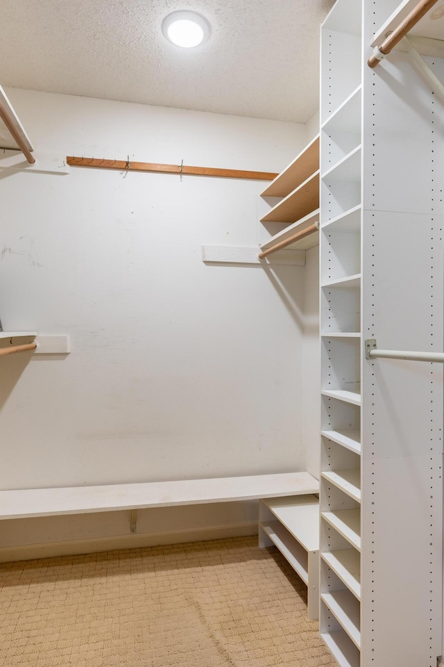 1920 Campbell Dr NW, Cleveland, TN 37312 - spacious closet with light flooring