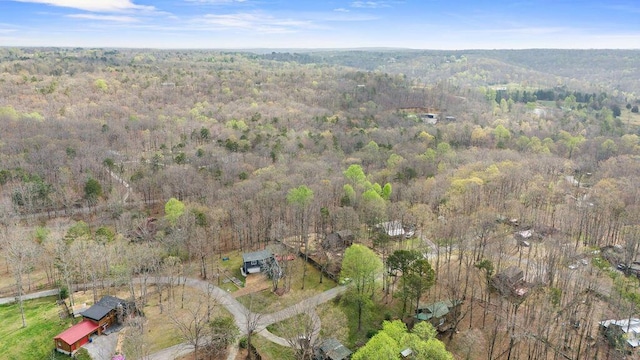 43 Miller Cove Cir, Signal Mountain, TN 37377 - photo 44