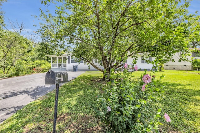 5506 Sunny Dell Ln, Chattanooga, TN 37412 - view of property hidden behind natural elements featuring crawl space, a front lawn, and a sunroom