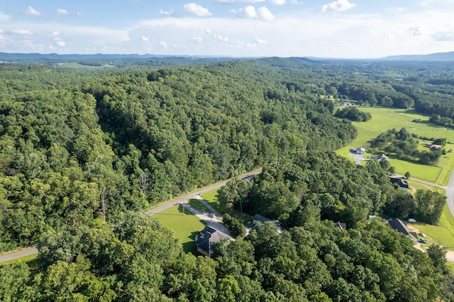 205 N Ridge Dr, Lafayette, GA 30728 - photo 62