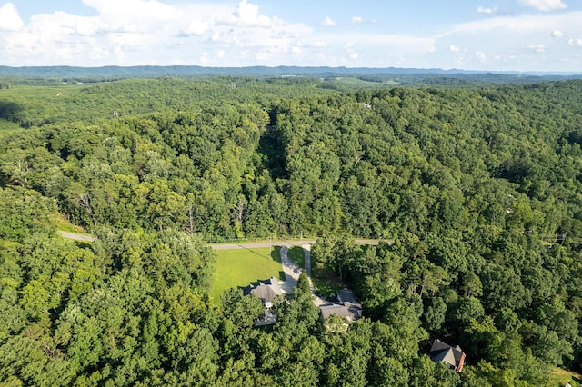 205 N Ridge Dr, Lafayette, GA 30728 - photo 64