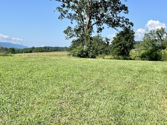 415 Neergaard Ln, Dunlap, TN 37327 - photo 5