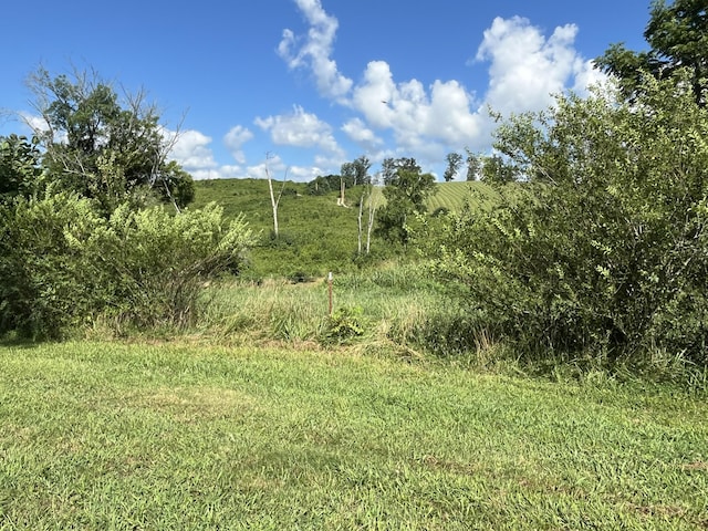 415 Neergaard Ln, Dunlap, TN 37327 - photo 17