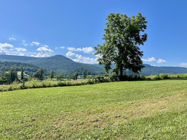 415 Neergaard Ln, Dunlap, TN 37327 - photo 9