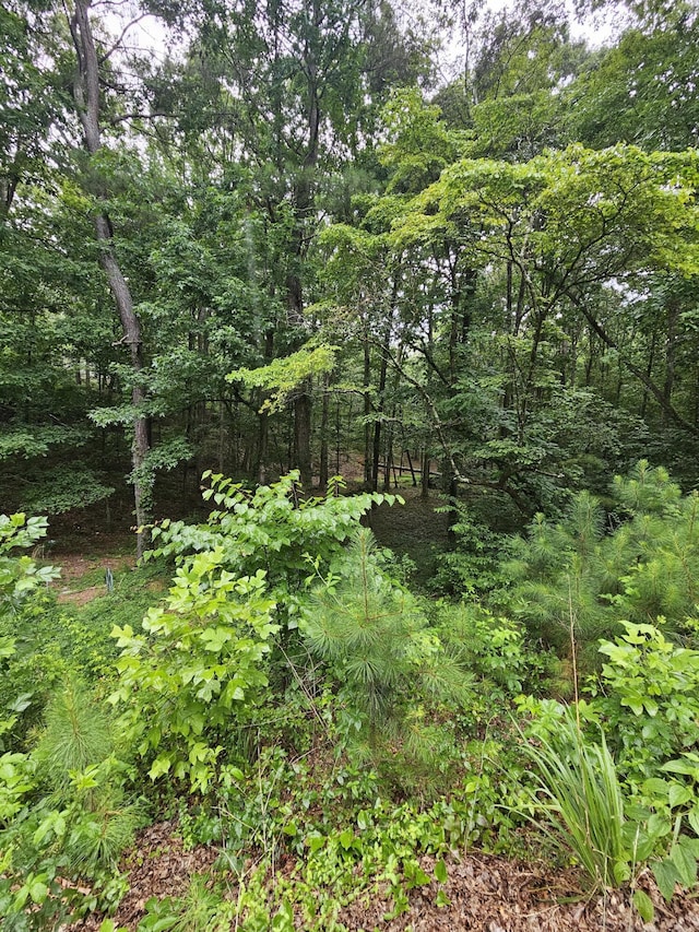 0 Pineywood Dr, Ringgold, GA 30736 - photo 1