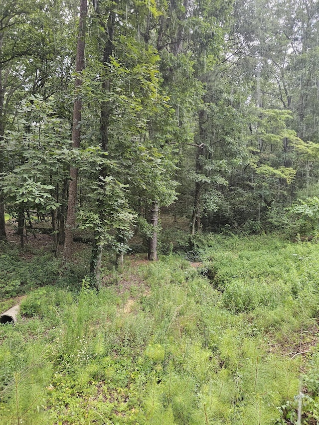 0 Pineywood Dr, Ringgold, GA 30736 - photo 2
