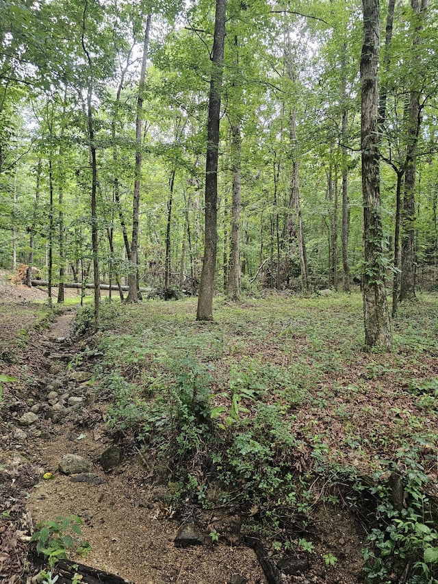 0 Pineywood Dr, Ringgold, GA 30736 - photo 4