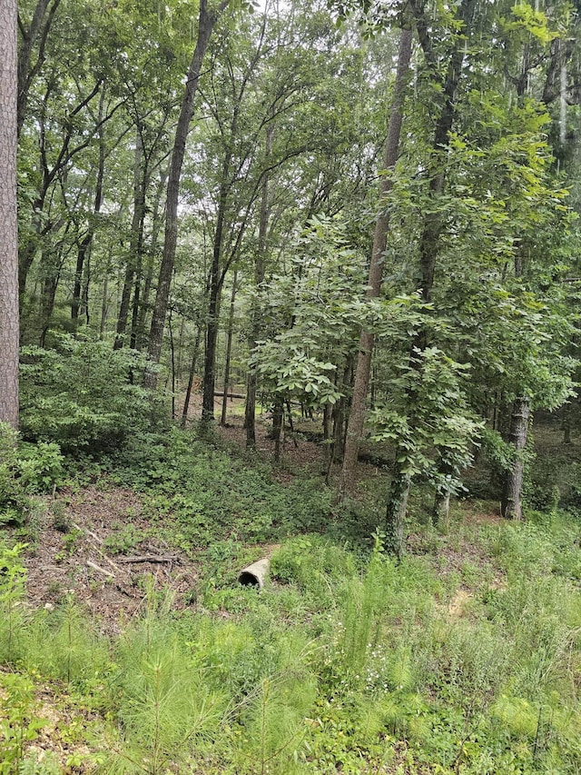 0 Pineywood Dr, Ringgold, GA 30736 - photo 3