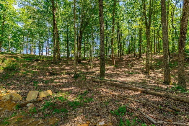 0 River Bluffs Dr Unit Rb66, Jasper, TN 37347