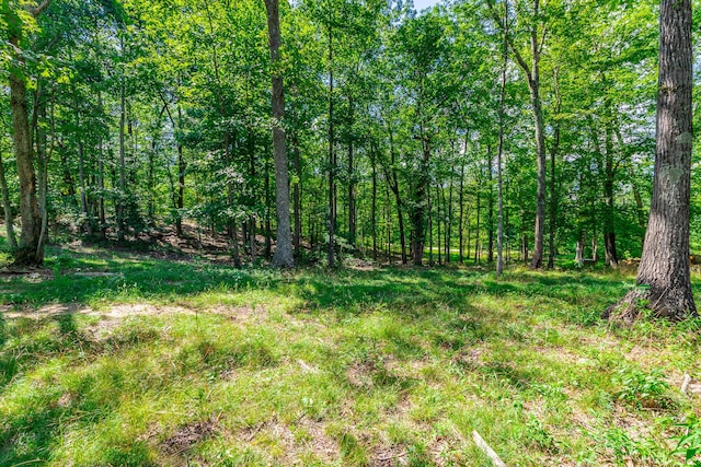 0 River Bluffs Dr Unit Rb66, Jasper, TN 37347