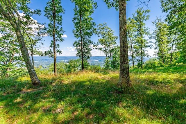 0 River Bluffs Dr Unit Rb66, Jasper, TN 37347