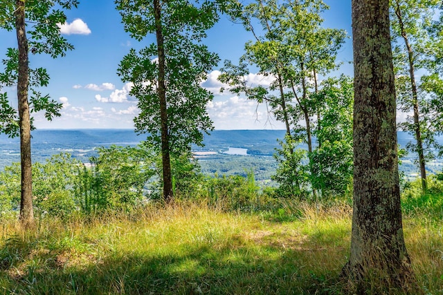 0 River Bluffs Dr Unit Rb66, Jasper, TN 37347