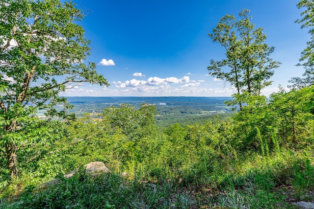 0 River Bluffs Dr Unit Rb66, Jasper, TN 37347