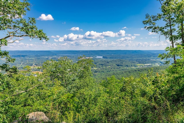 0 River Bluffs Dr Unit Rb66, Jasper, TN 37347