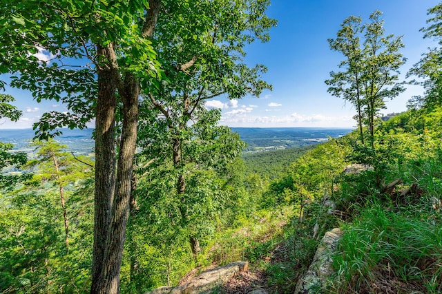 0 River Bluffs Dr Unit Rb66, Jasper, TN 37347
