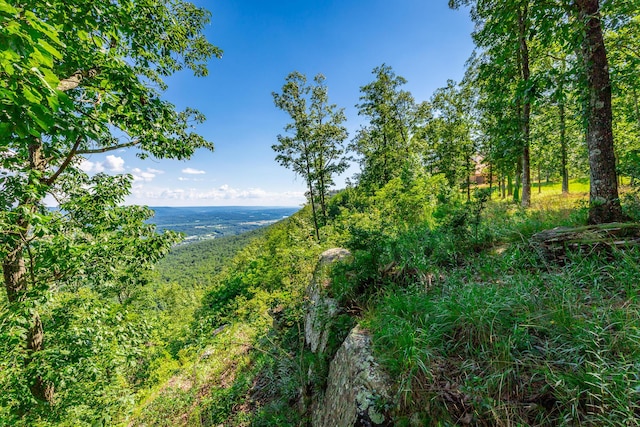 0 River Bluffs Dr Unit Rb66, Jasper, TN 37347