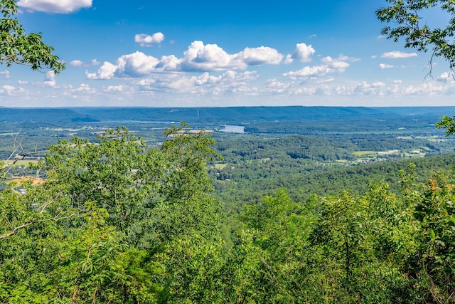 0 River Bluffs Dr Unit Rb66, Jasper, TN 37347
