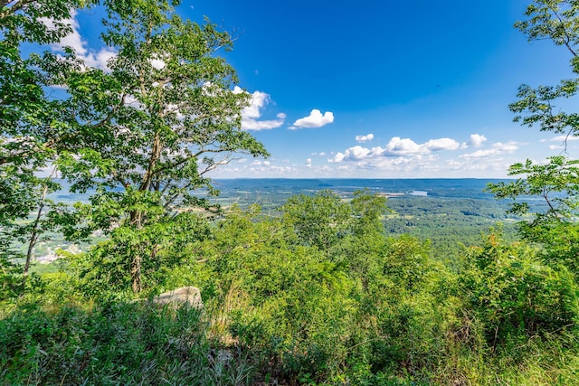 0 River Bluffs Dr Unit Rb66, Jasper, TN 37347