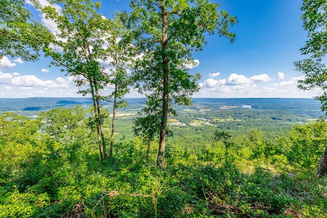 0 River Bluffs Dr Unit Rb66, Jasper, TN 37347