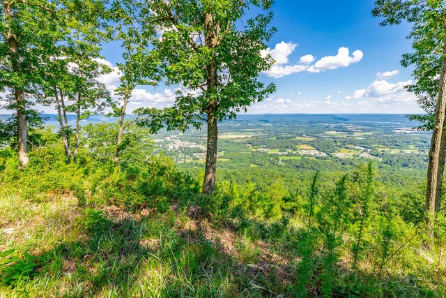 0 River Bluffs Dr Unit Rb66, Jasper, TN 37347