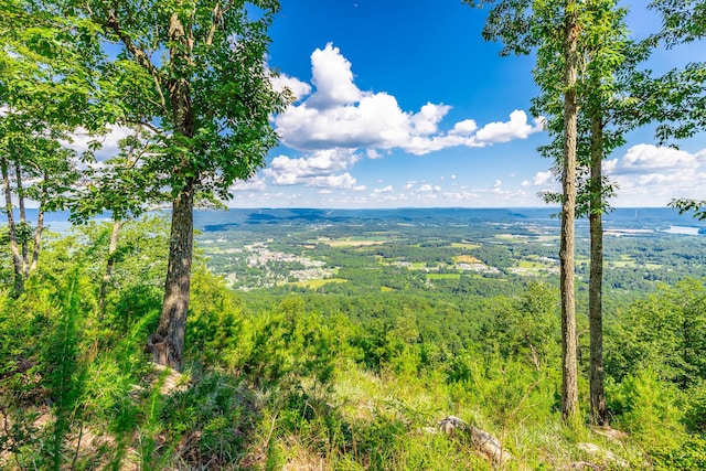 0 River Bluffs Dr Unit Rb66, Jasper, TN 37347