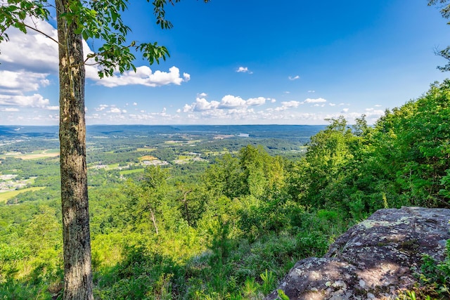 0 River Bluffs Dr Unit Rb66, Jasper, TN 37347