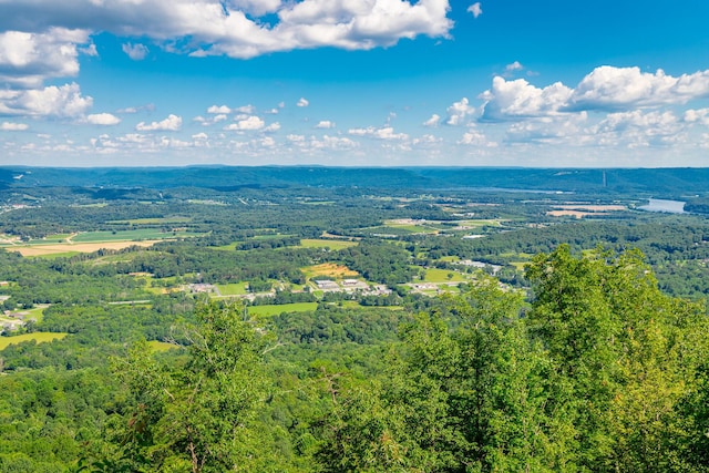 0 River Bluffs Dr Unit Rb66, Jasper, TN 37347