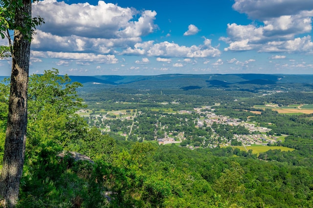 0 River Bluffs Dr Unit Rb66, Jasper, TN 37347