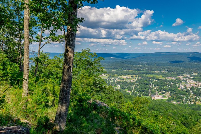 0 River Bluffs Dr Unit Rb66, Jasper, TN 37347