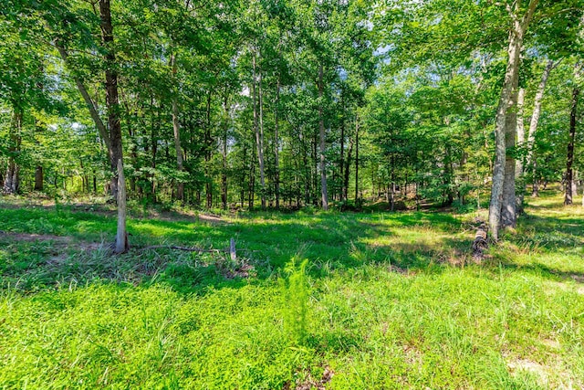 0 River Bluffs Dr Unit Rb66, Jasper, TN 37347