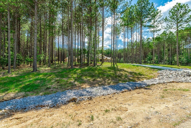 220 High Point Ln, Jasper, TN 37347 - view of yard featuring a water view and a view of trees