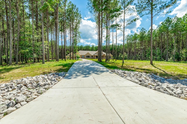 220 High Point Ln, Jasper, TN 37347 - surrounding community with driveway and a lawn