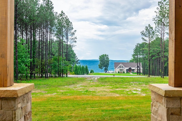 220 High Point Ln, Jasper, TN 37347 - view of green lawn with a water view