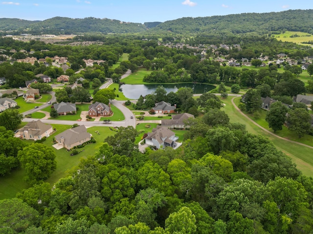 9342 Windstone Dr, Ooltewah, TN 37363 - photo 59