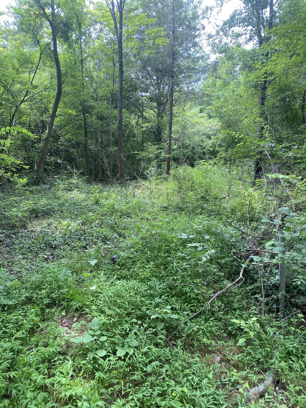 0 Mccahill Rd, Chattanooga, TN 37415