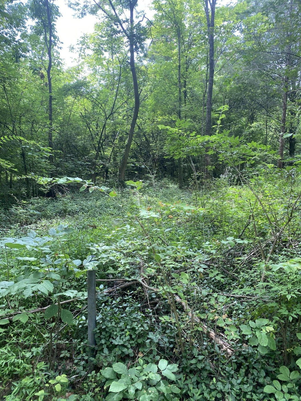 0 Mccahill Rd, Chattanooga, TN 37415
