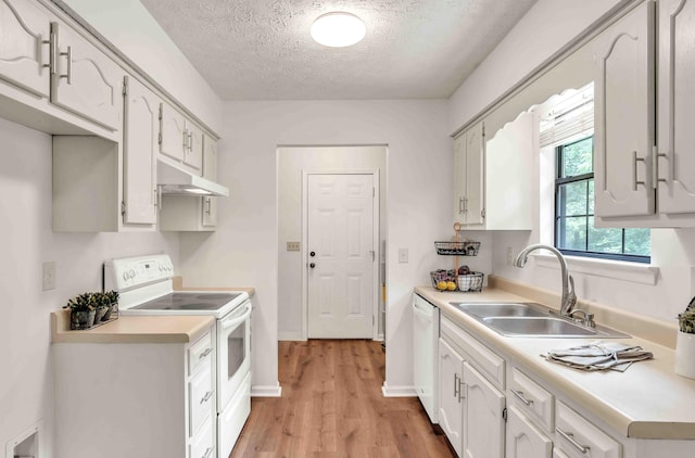 158 Bailey Cir SW, Cleveland, TN 37311 - kitchen with white appliances, under cabinet range hood, light wood-style flooring, a textured ceiling, and light countertops