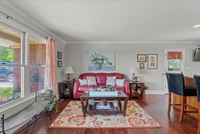 4522 Cloverdale Loop, Hixson, TN 37343 - living area featuring ornamental molding and wood finished floors
