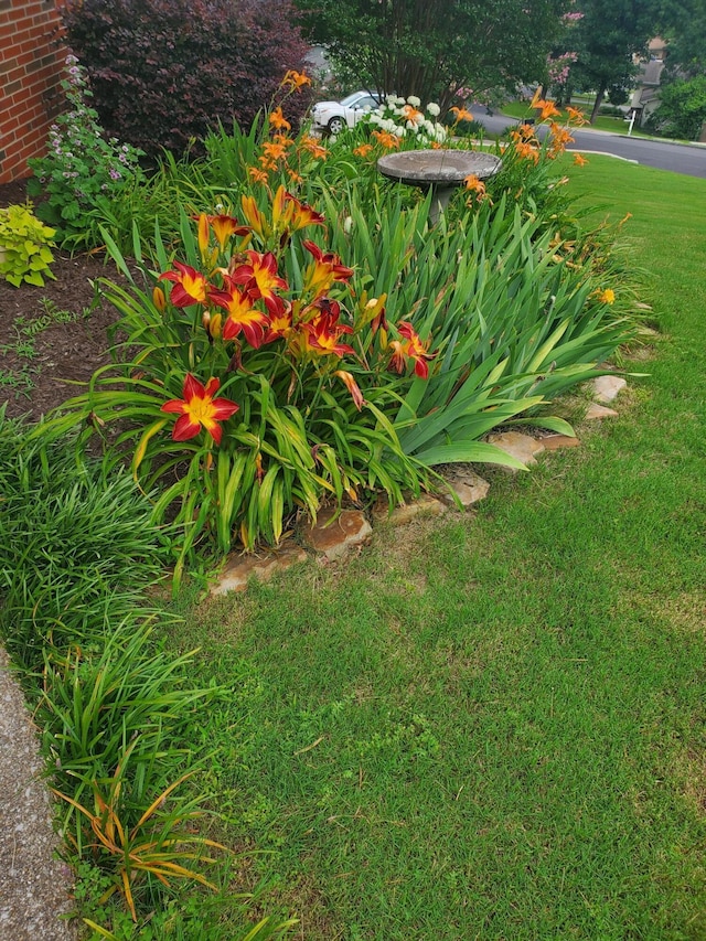 4522 Cloverdale Loop, Hixson, TN 37343 - view of green lawn