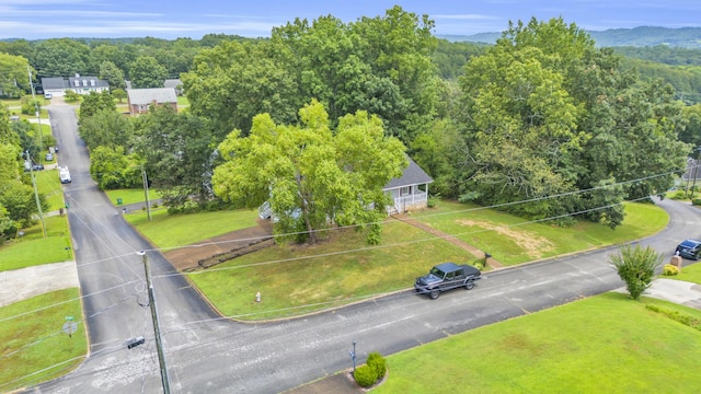 109 Pamela Ln, Ringgold, GA 30736 - photo 34