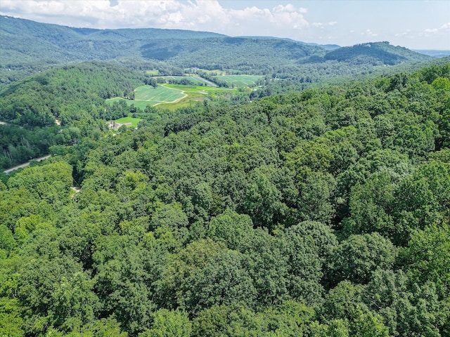 1890 Sussex Rd, Dayton, TN 37321 - photo 4