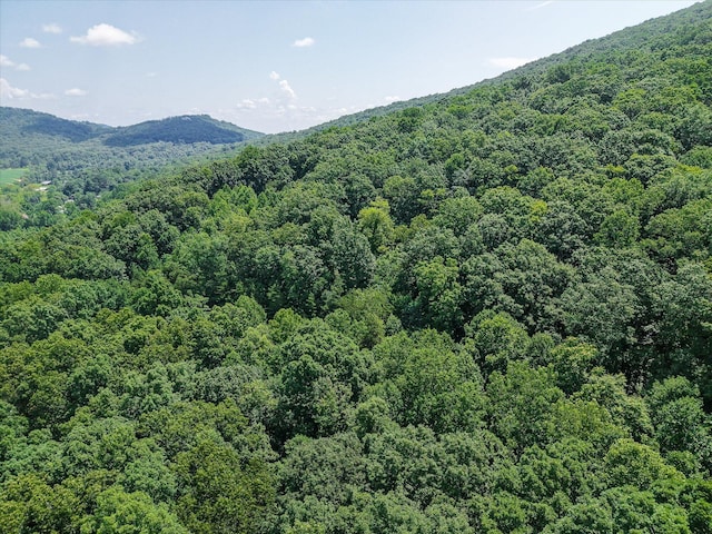 1890 Sussex Rd, Dayton, TN 37321 - photo 5