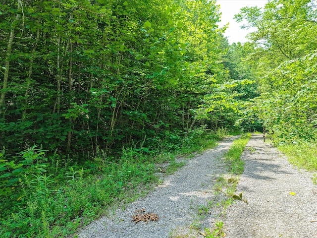 1890 Sussex Rd, Dayton, TN 37321 - photo 6