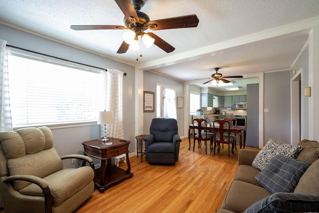 1318 Joiner Rd, Chattanooga, TN 37421 - living area with a ceiling fan, ornamental molding, light wood-style flooring, and a textured ceiling