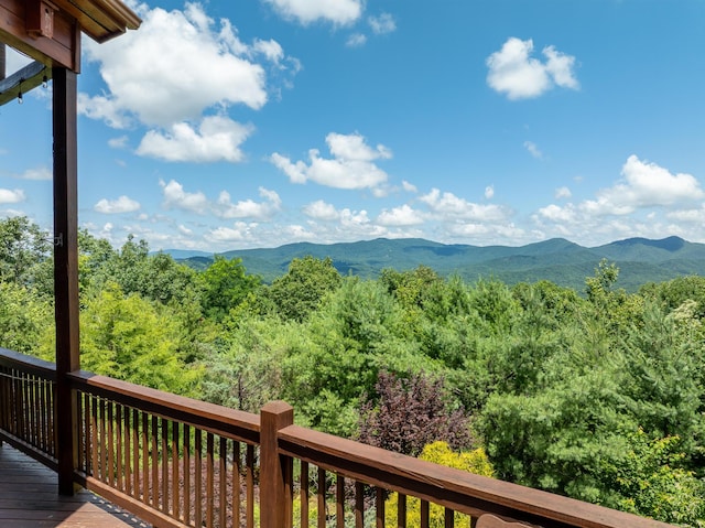 1359 Mountain High Dr, Mineral Bluff, GA 30559