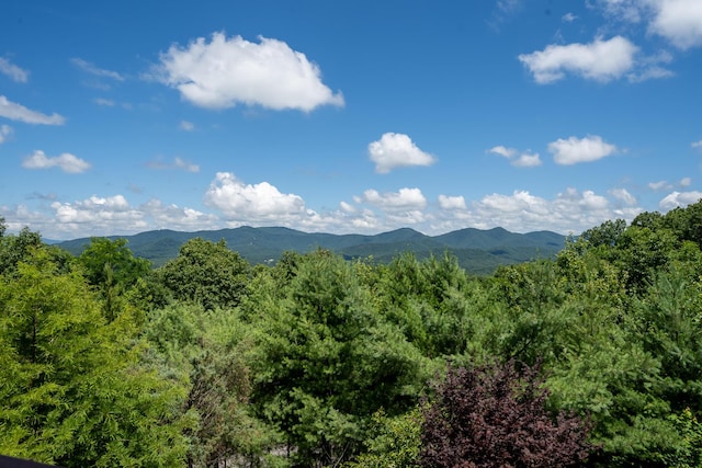 1359 Mountain High Dr, Mineral Bluff, GA 30559