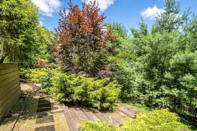 1359 Mountain High Dr, Mineral Bluff, GA 30559