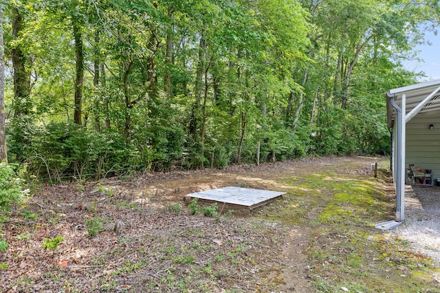 77 Homer Layne Rd, Tracy City, TN 37387 - photo 24