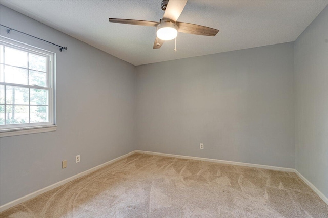 4719 N Forest Rd, Hixson, TN 37343 - photo 31